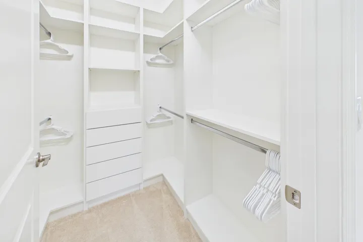 Master Closet #2
