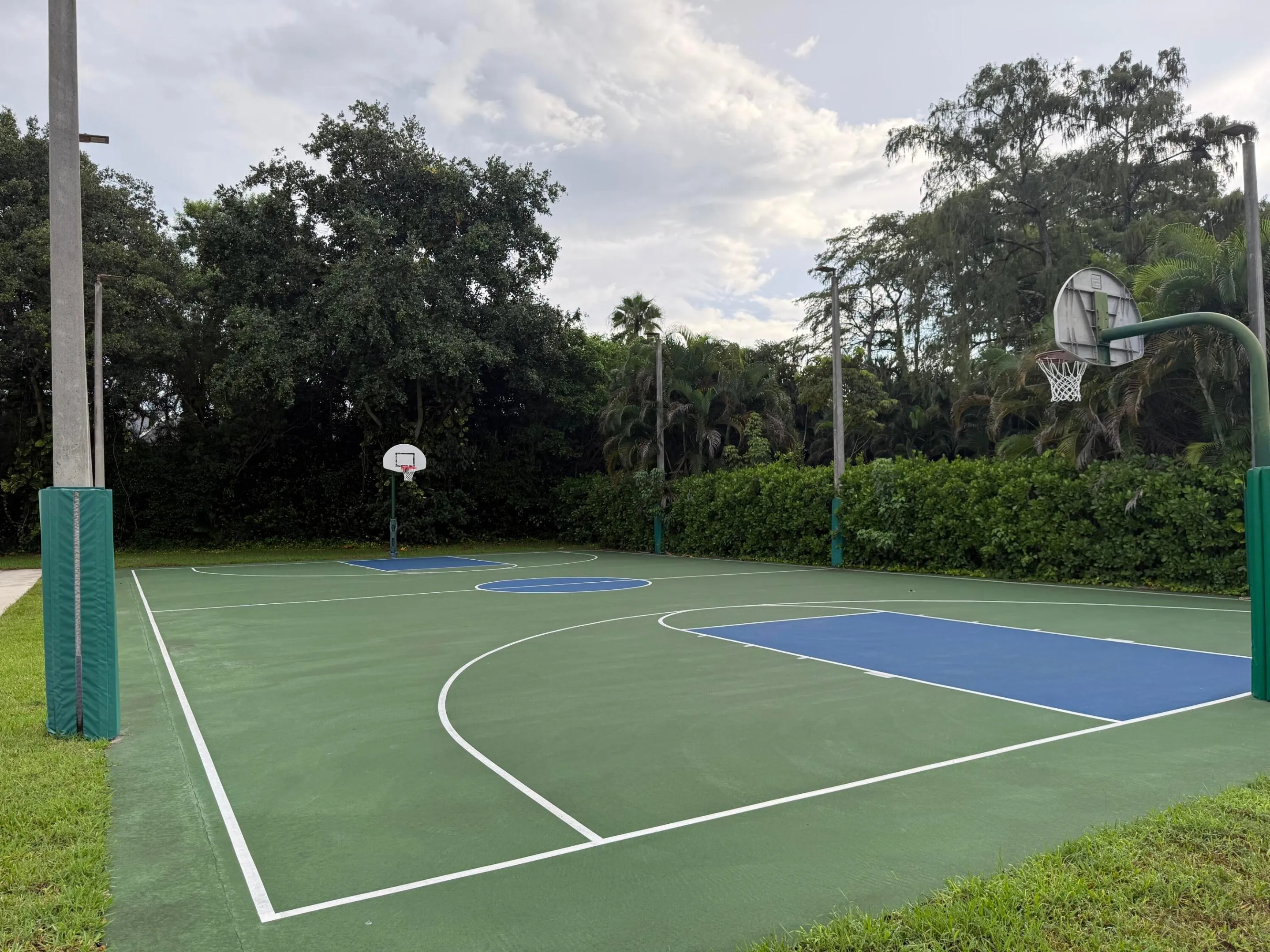 TCMA Basketball
