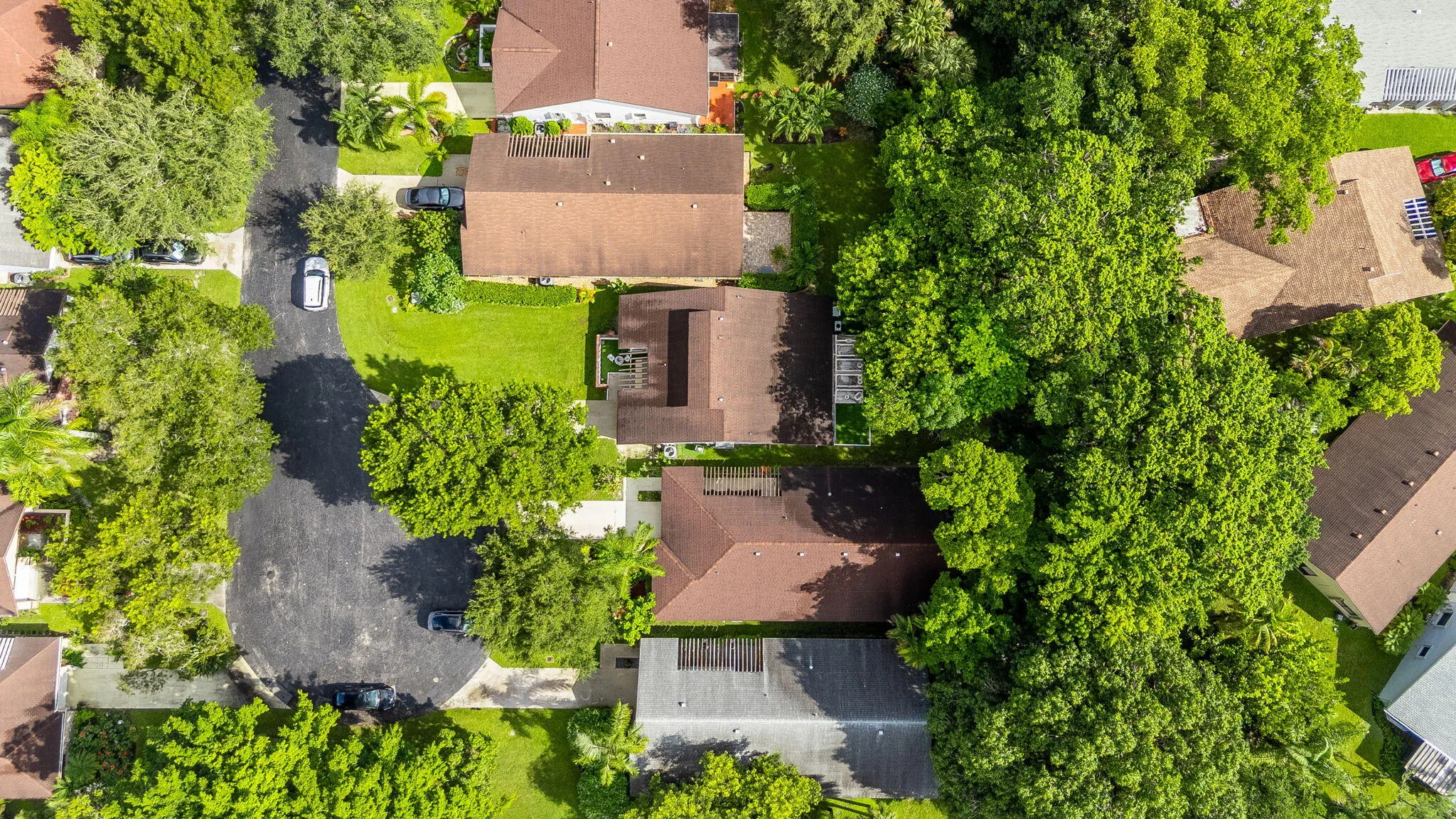 Residential cul-de-sac with mature trees and paved roadways