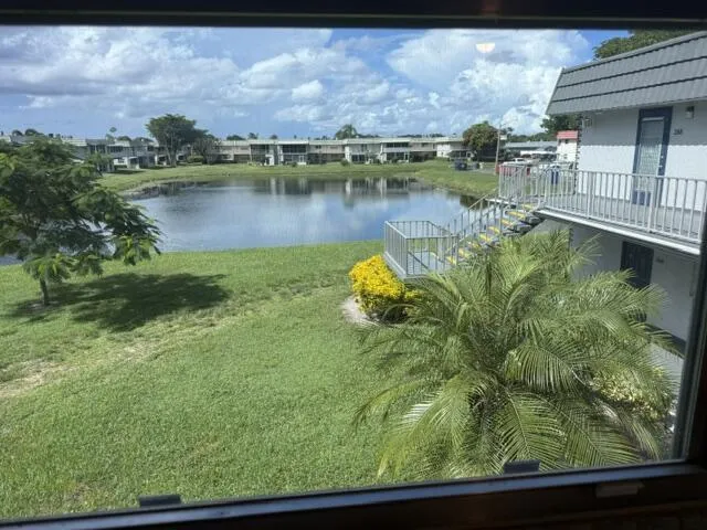 Looking out the Dining Room window