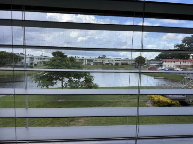 Looking out the bedroom window