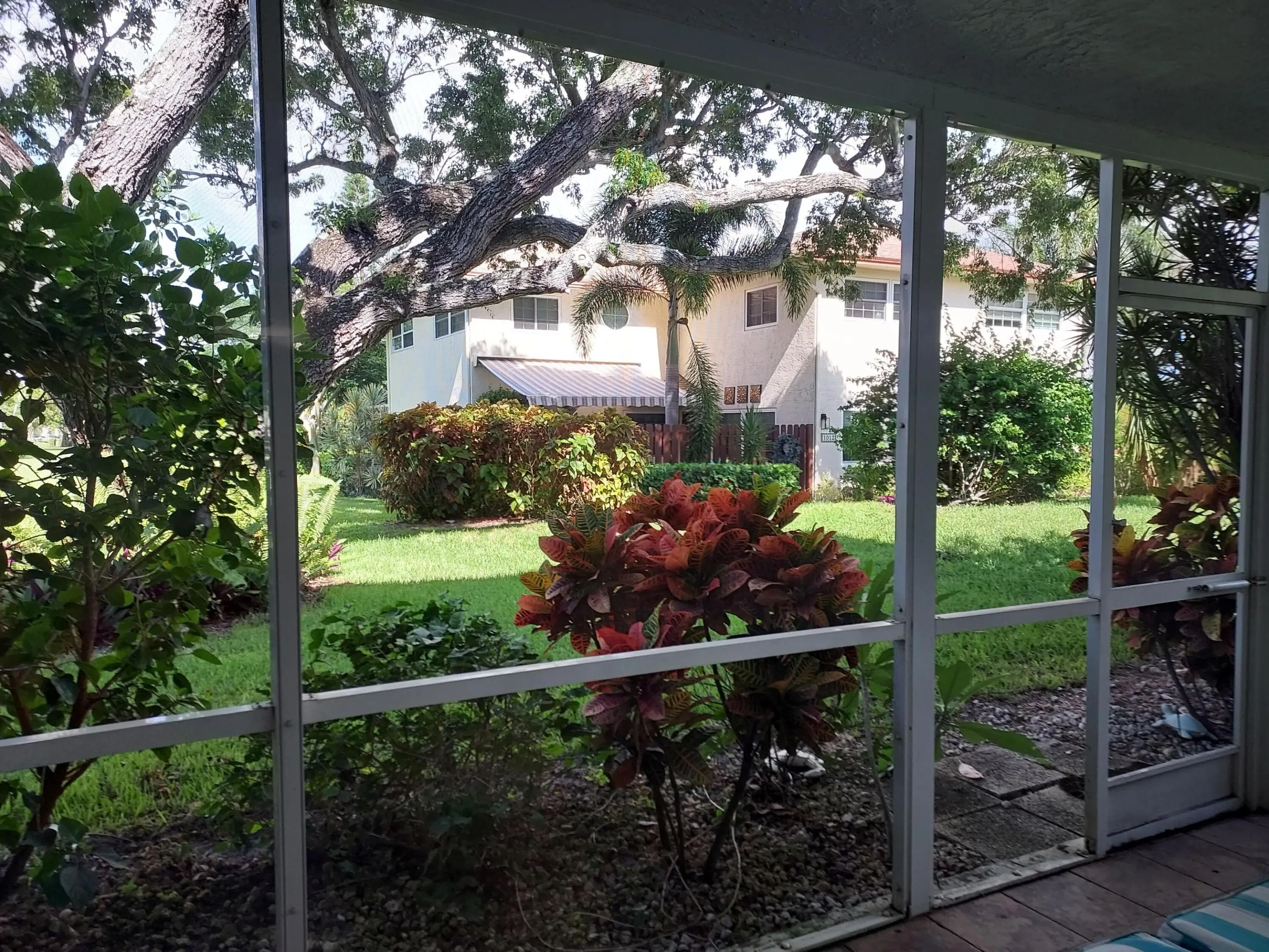 Patio view