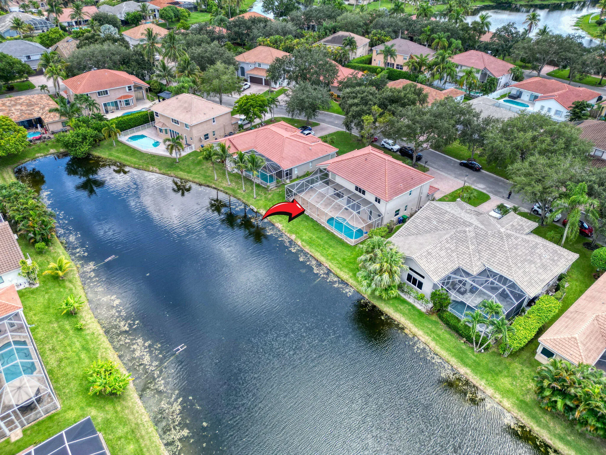 10 Pool + backyard (6)