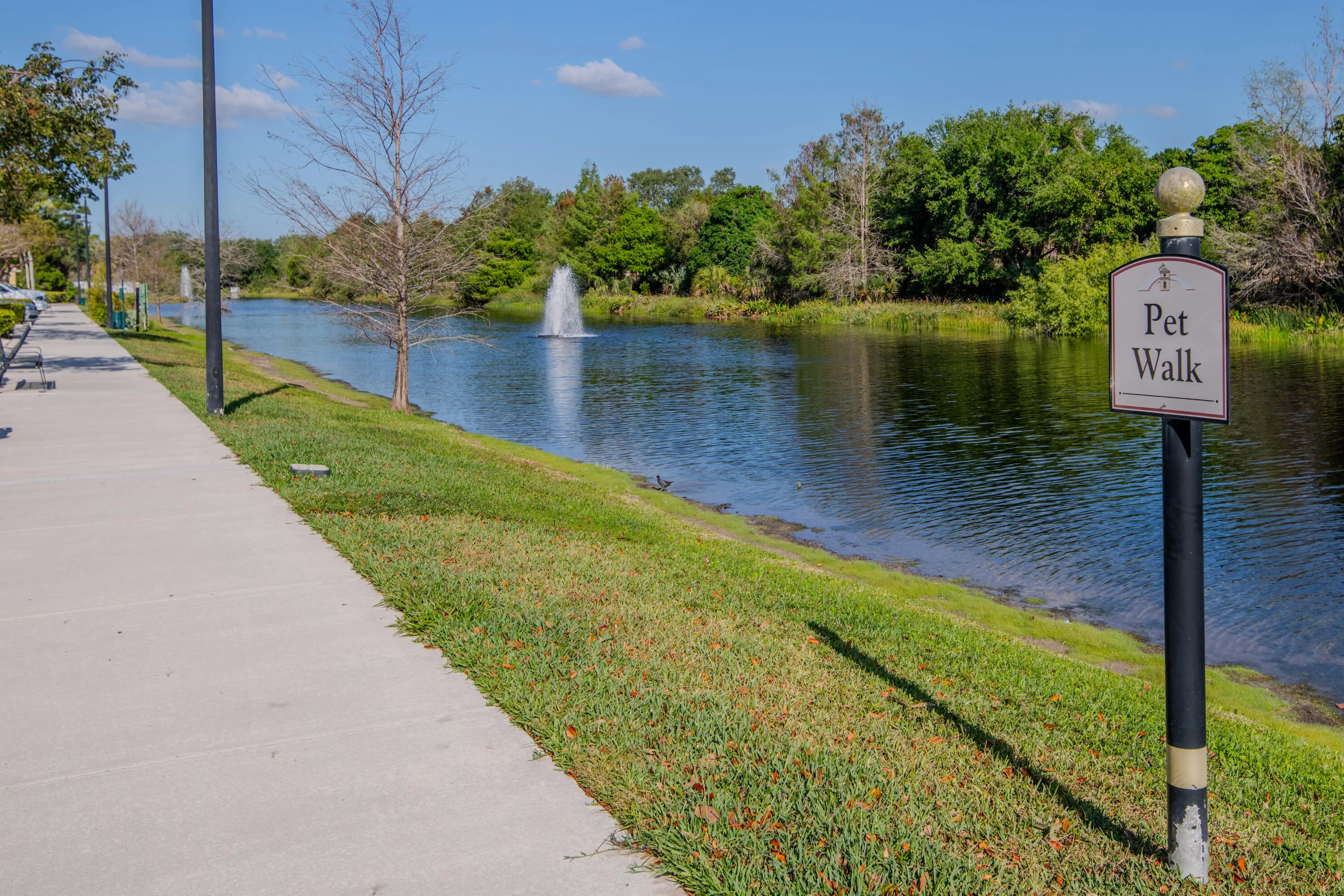 Amenities - Pet Walk