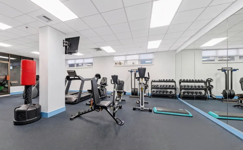 51-web-or-mls-5D1A4764