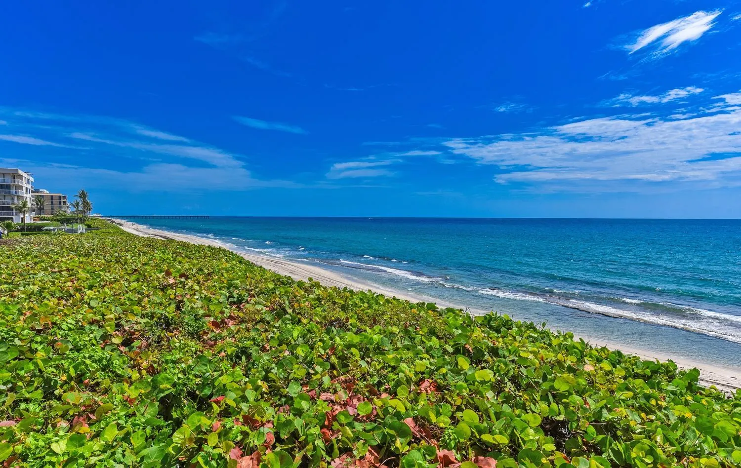 042-008-3300 S Ocean Blvd-1500x948