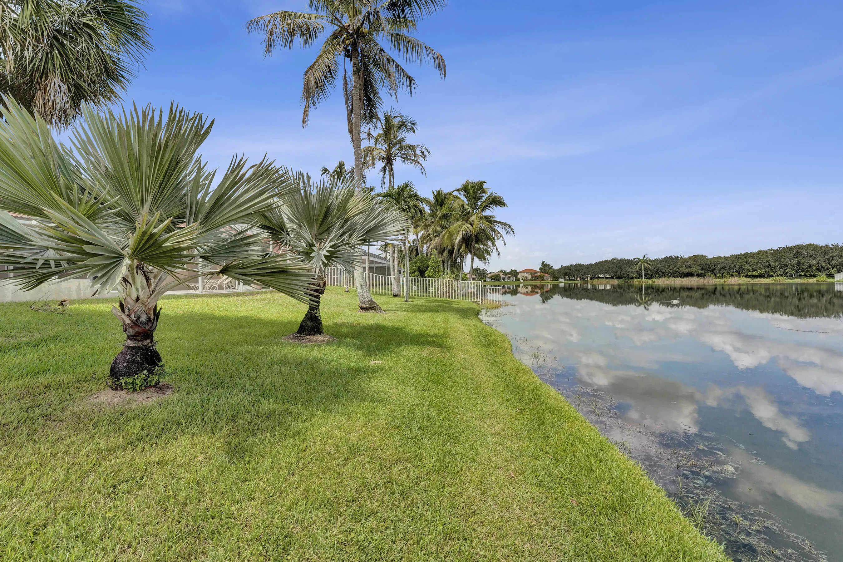 Waterfront yard