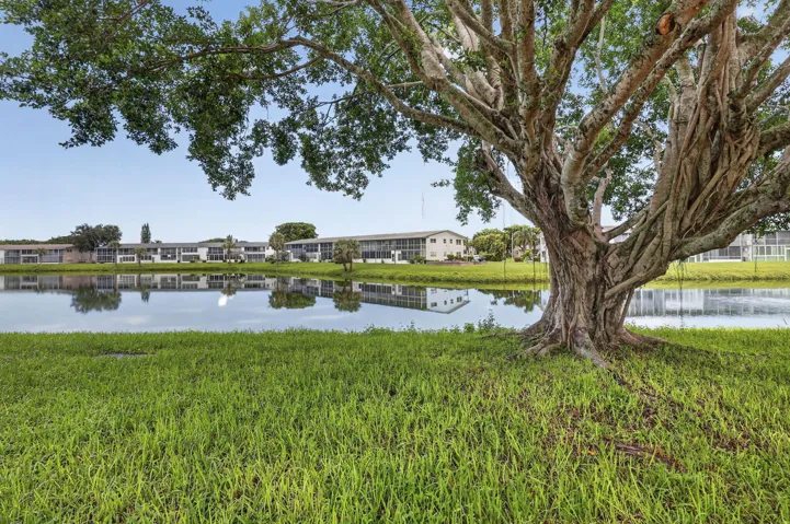 Lush green lawn with a mature tree, water feature, and multi-unit residential structures