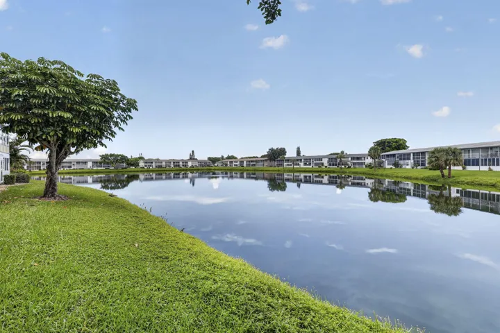 Expansive water feature with surrounding green space and mature trees