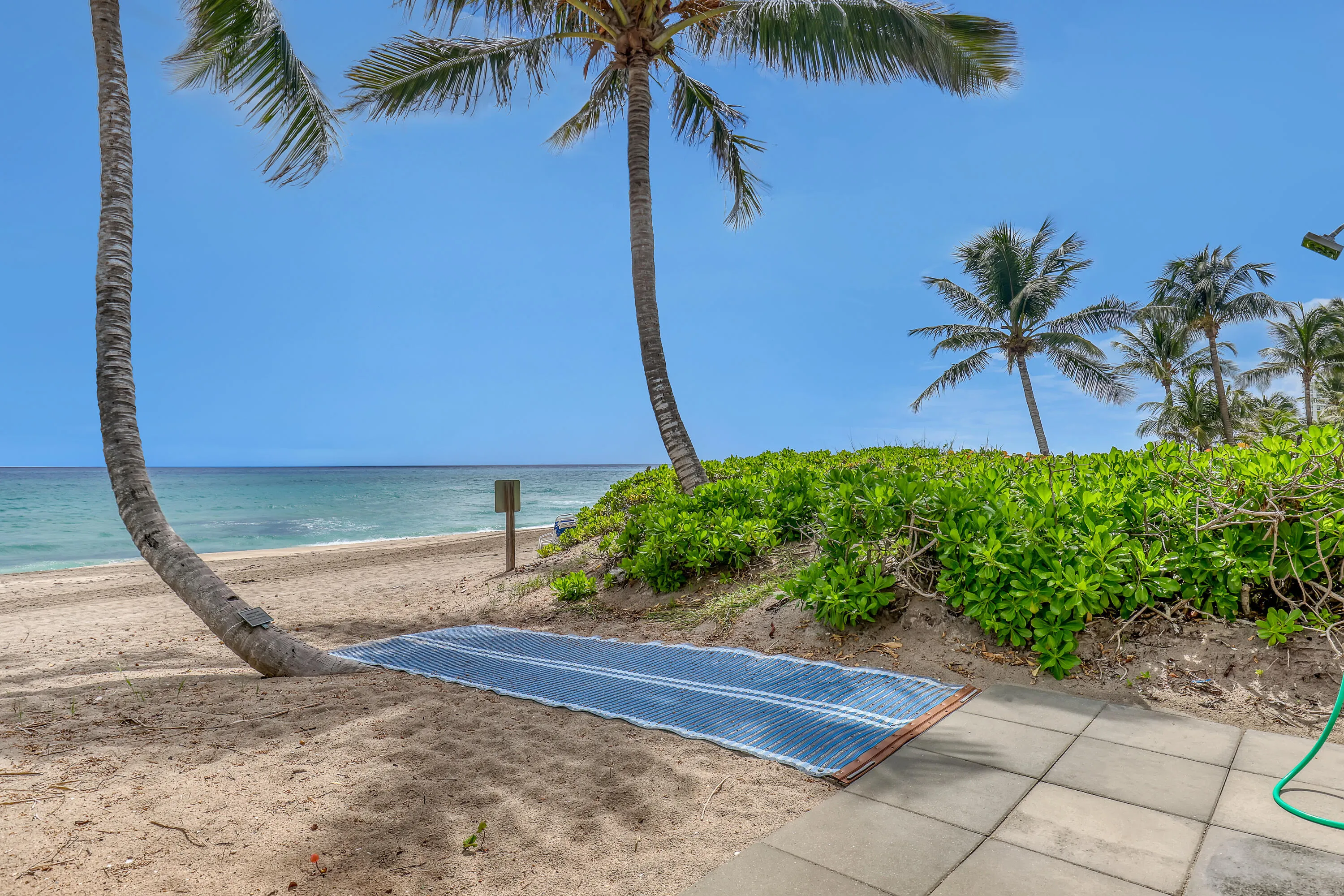 Sandy beach access with mature palm trees, lush landscaping, and ocean frontage