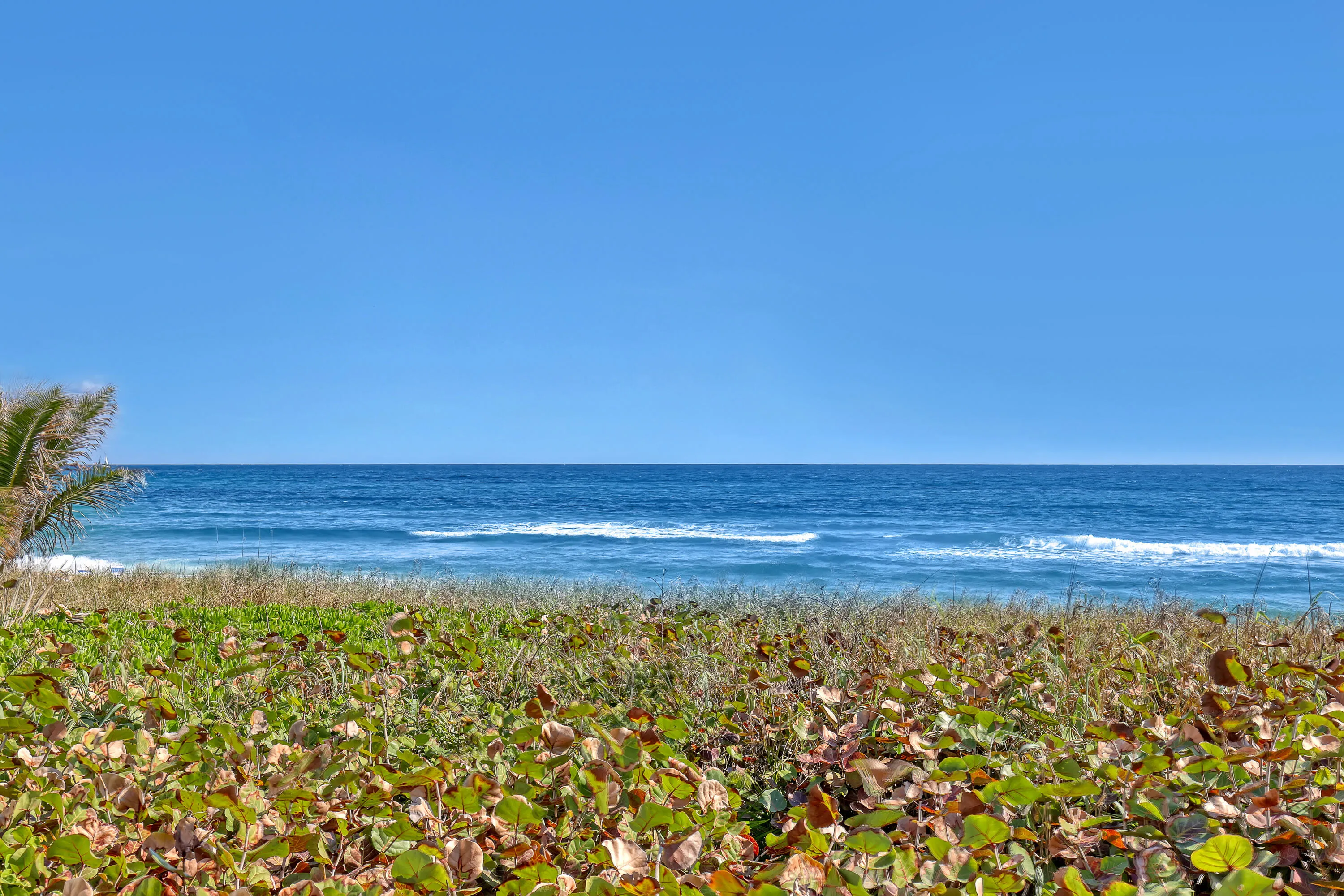 Expansive ocean horizon with deep blue waters and whitecap waves