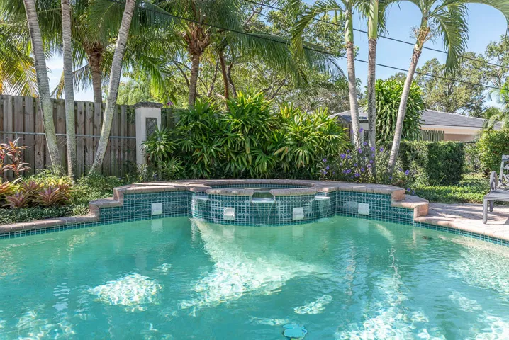 Pool with Raised Spa