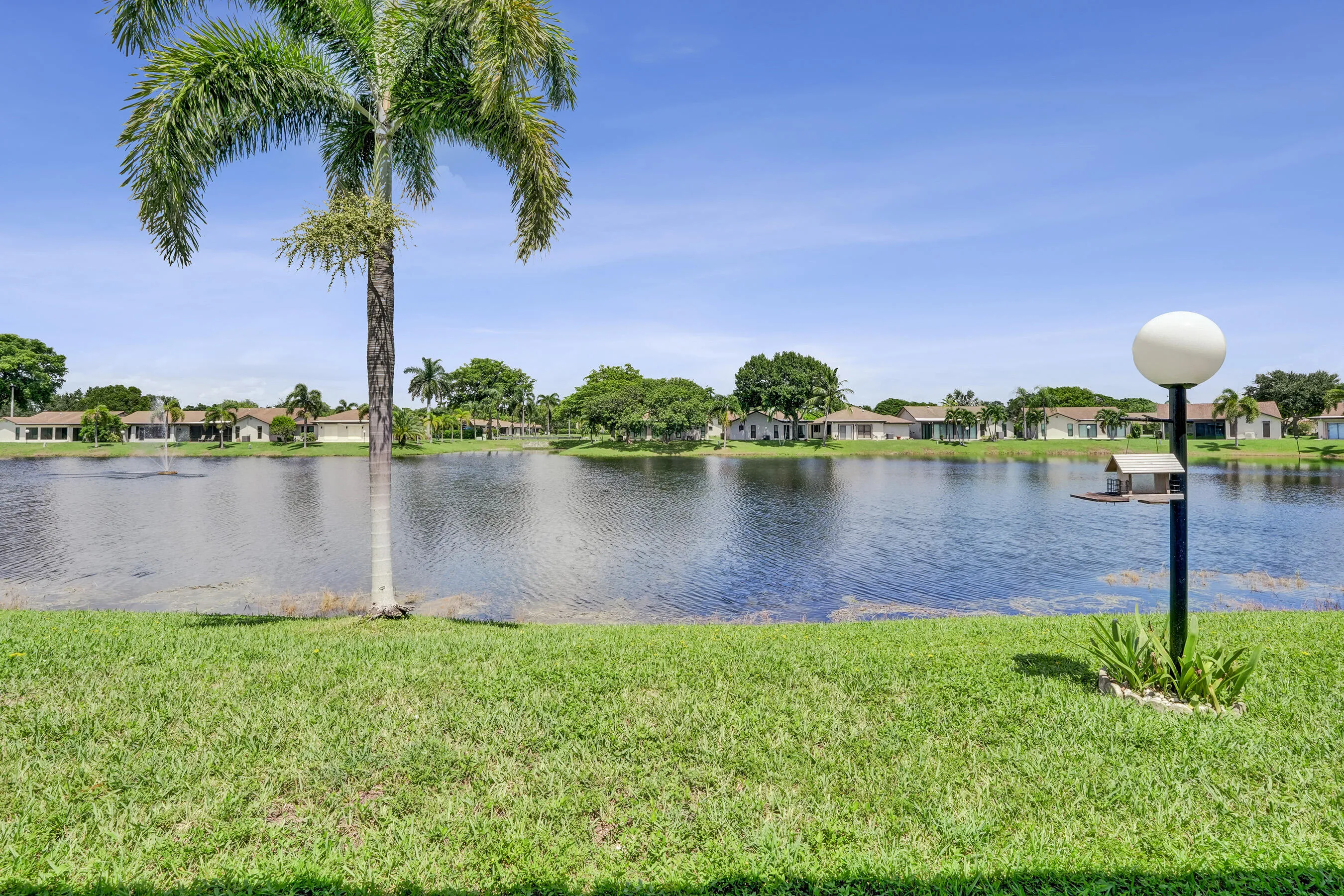 Expansive green lawn with a palm tree, featuring a large body of water, and a decorative outdoor lamp with a bird feeder