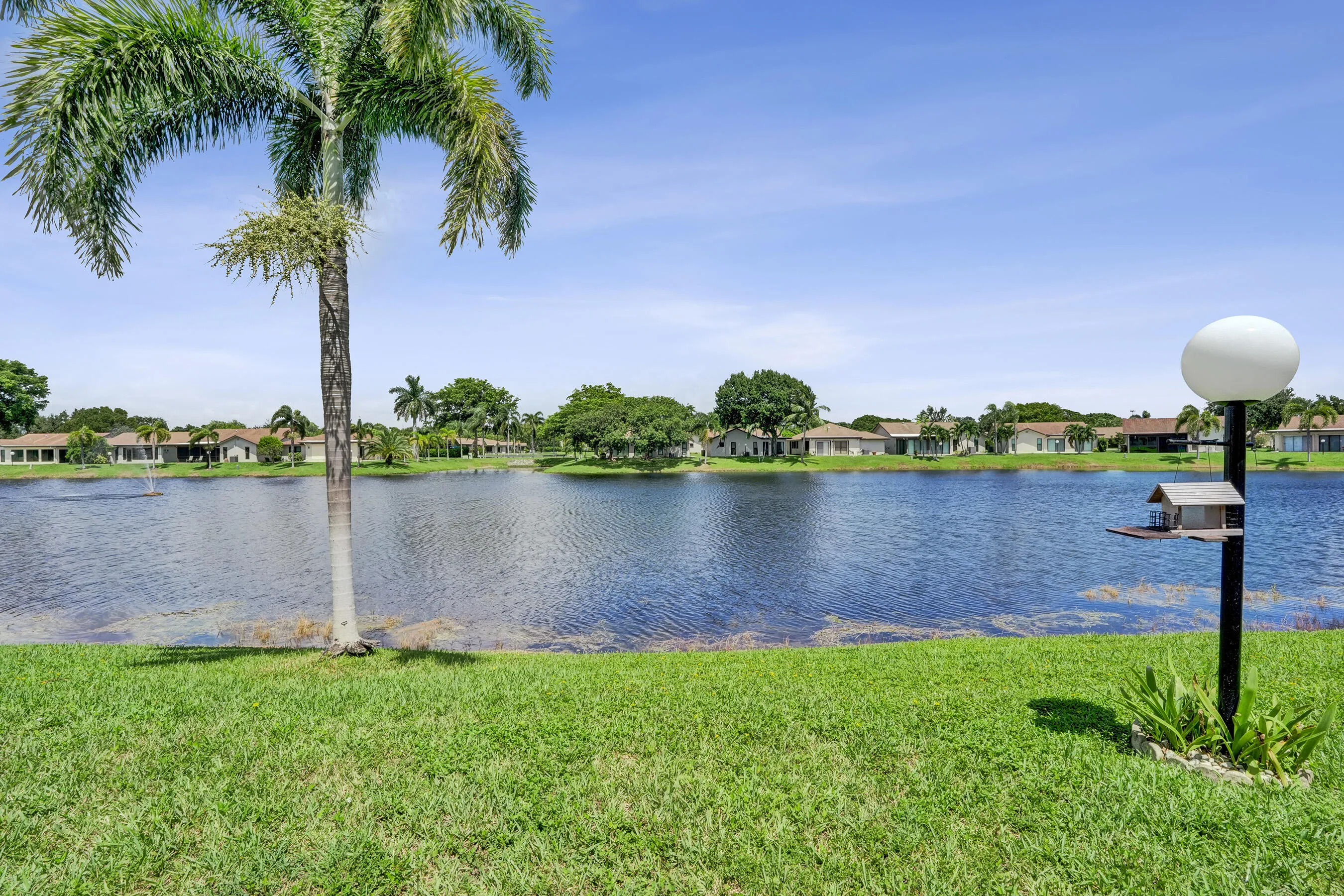 Expansive lawn featuring mature palm trees and a tranquil water feature