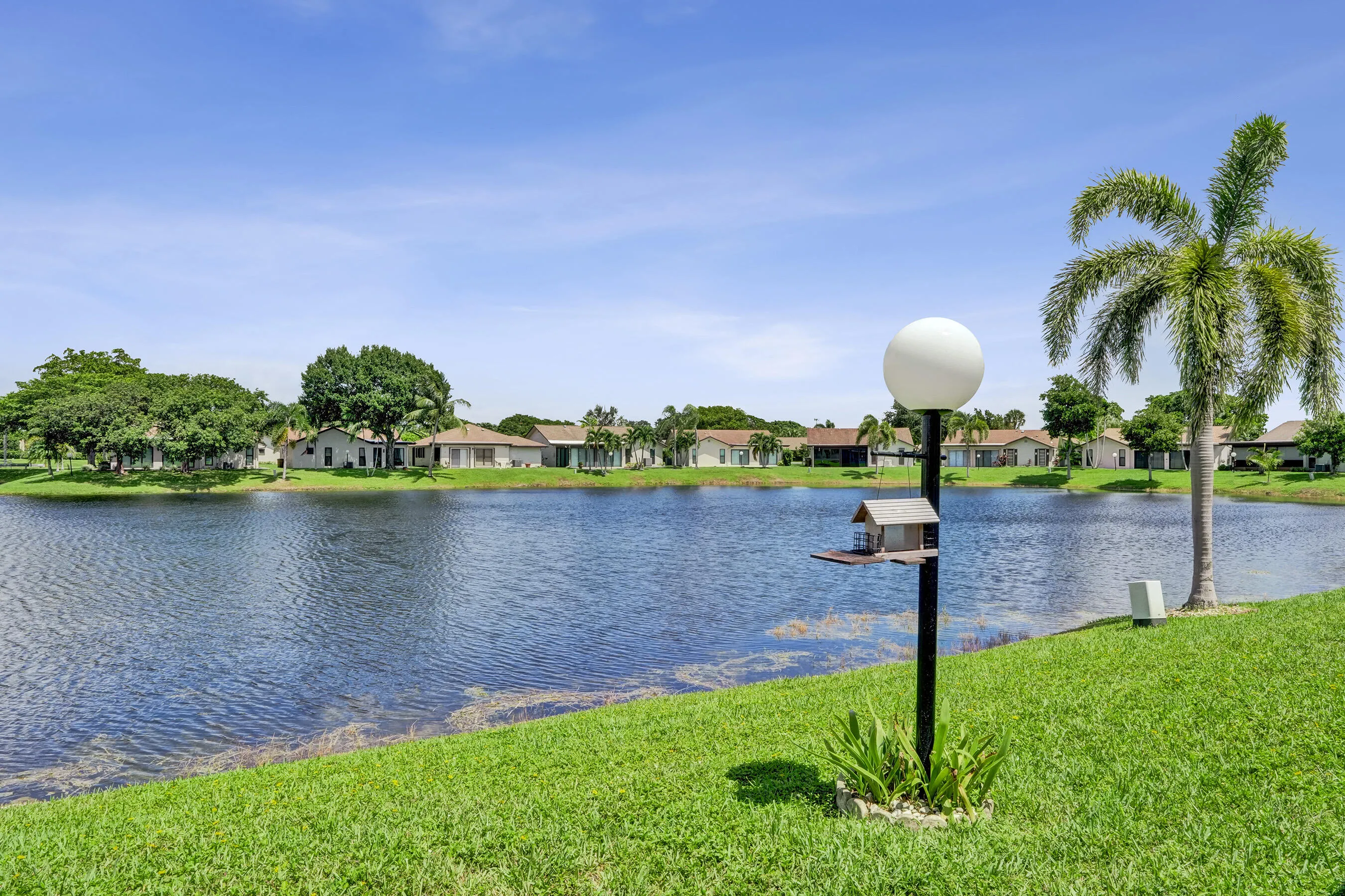 Expansive green lawn bordering a tranquil body of water, featuring a mature palm tree and a spherical outdoor light fixture