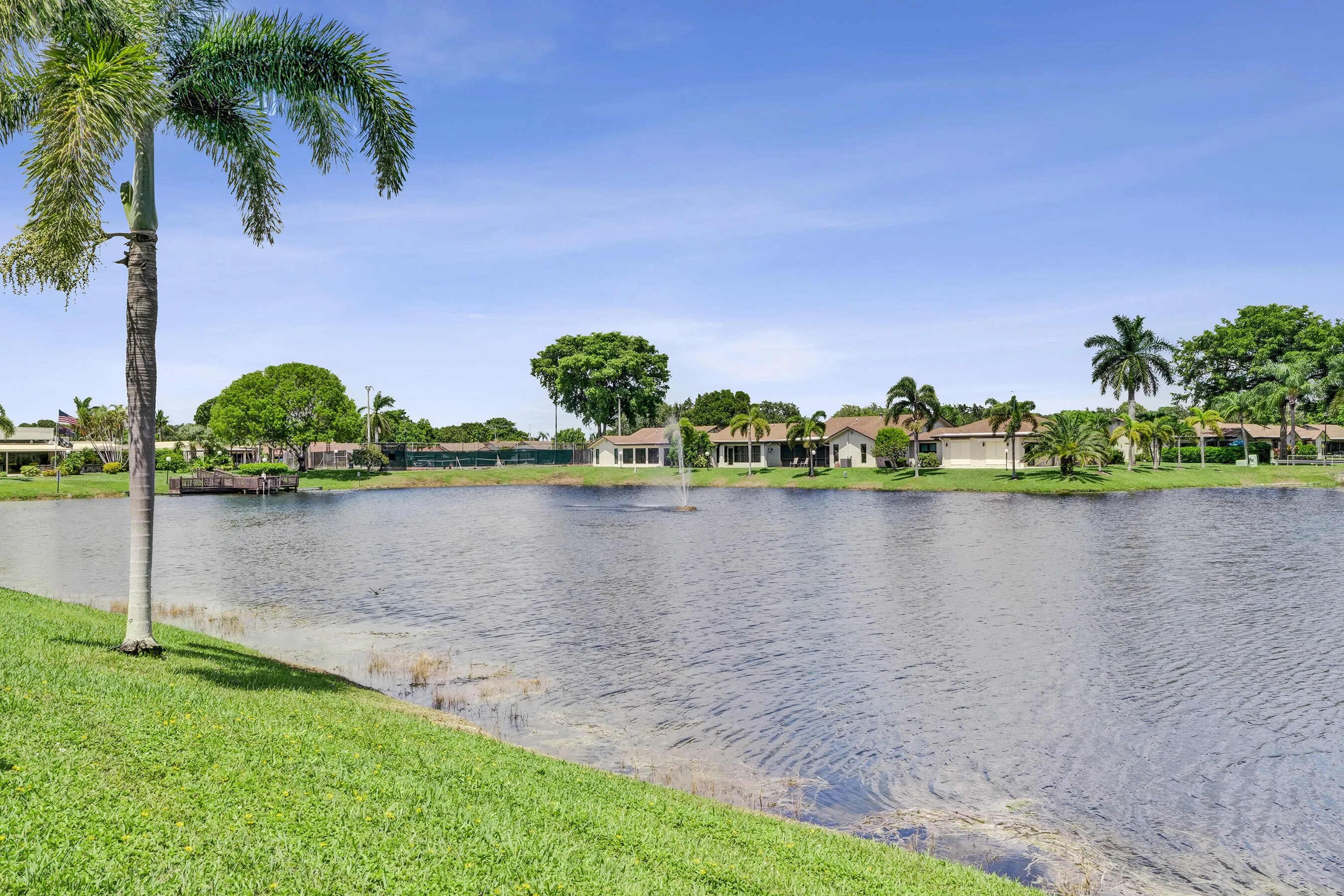 Lakefront property featuring a tranquil water body with a fountain, mature palm trees, and lush green landscaping