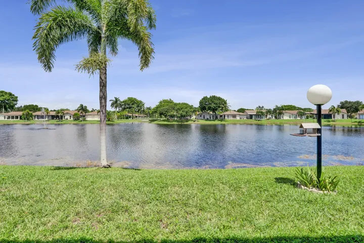 Expansive green lawn with a palm tree, featuring a large body of water, and a decorative outdoor lamp with a bird feeder