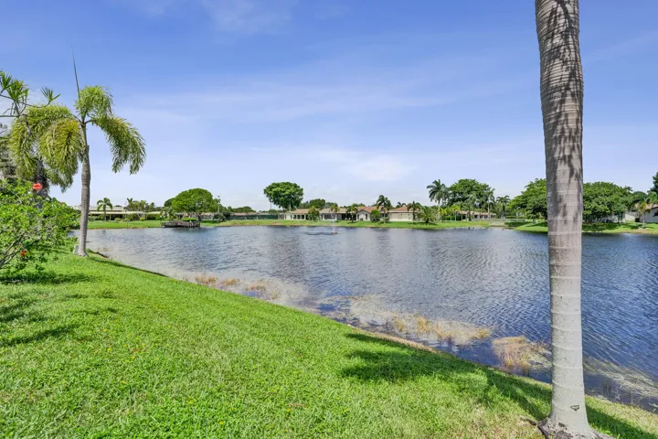 Expansive water frontage with established landscaping and mature palm trees