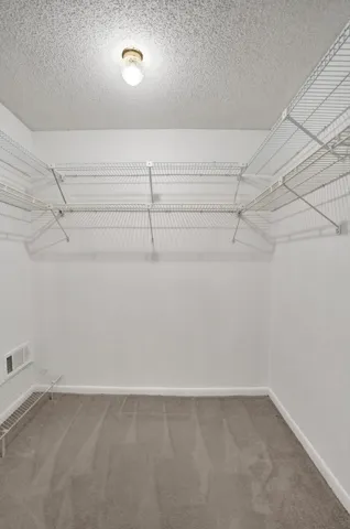 Walk-in closet featuring wall-to-wall carpeting and extensive wire shelving