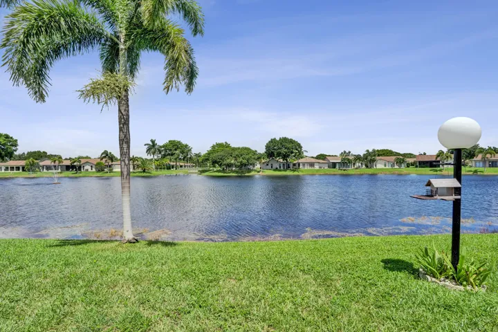 Expansive lawn featuring mature palm trees and a tranquil water feature