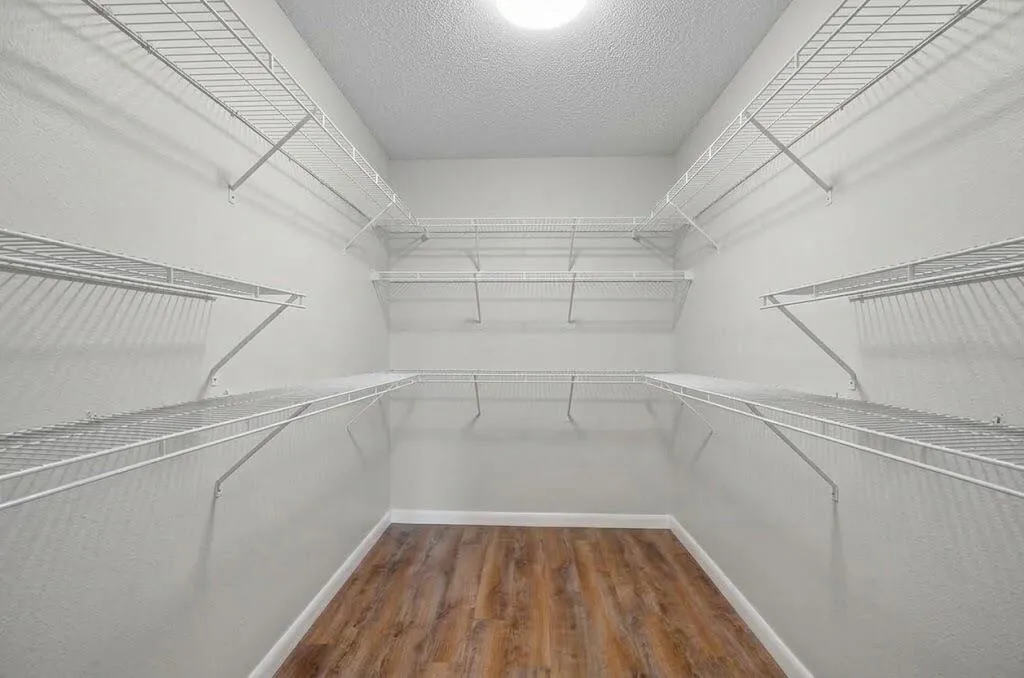 Master Closet - AI Generated