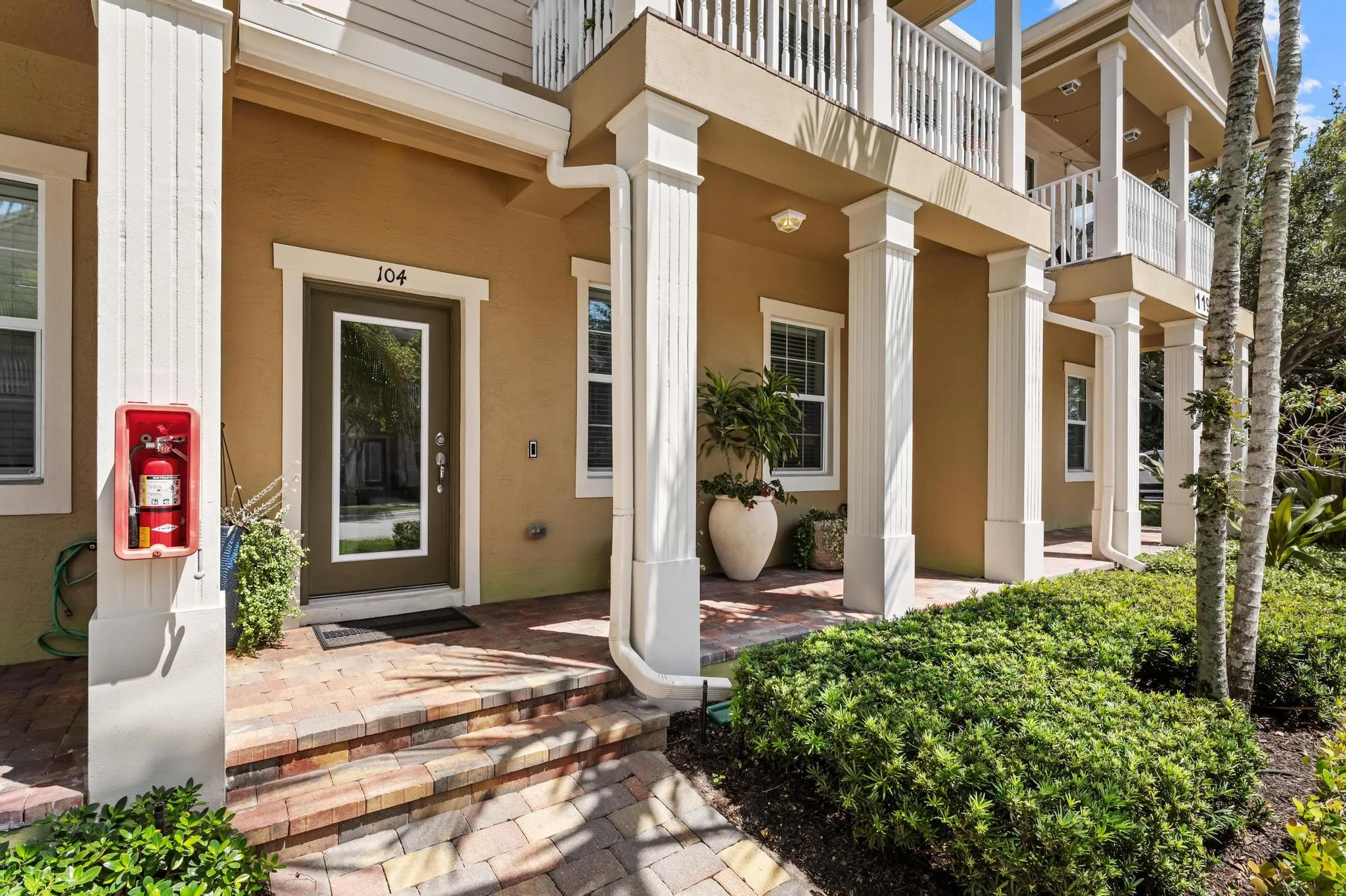 119 Black Ironwood
