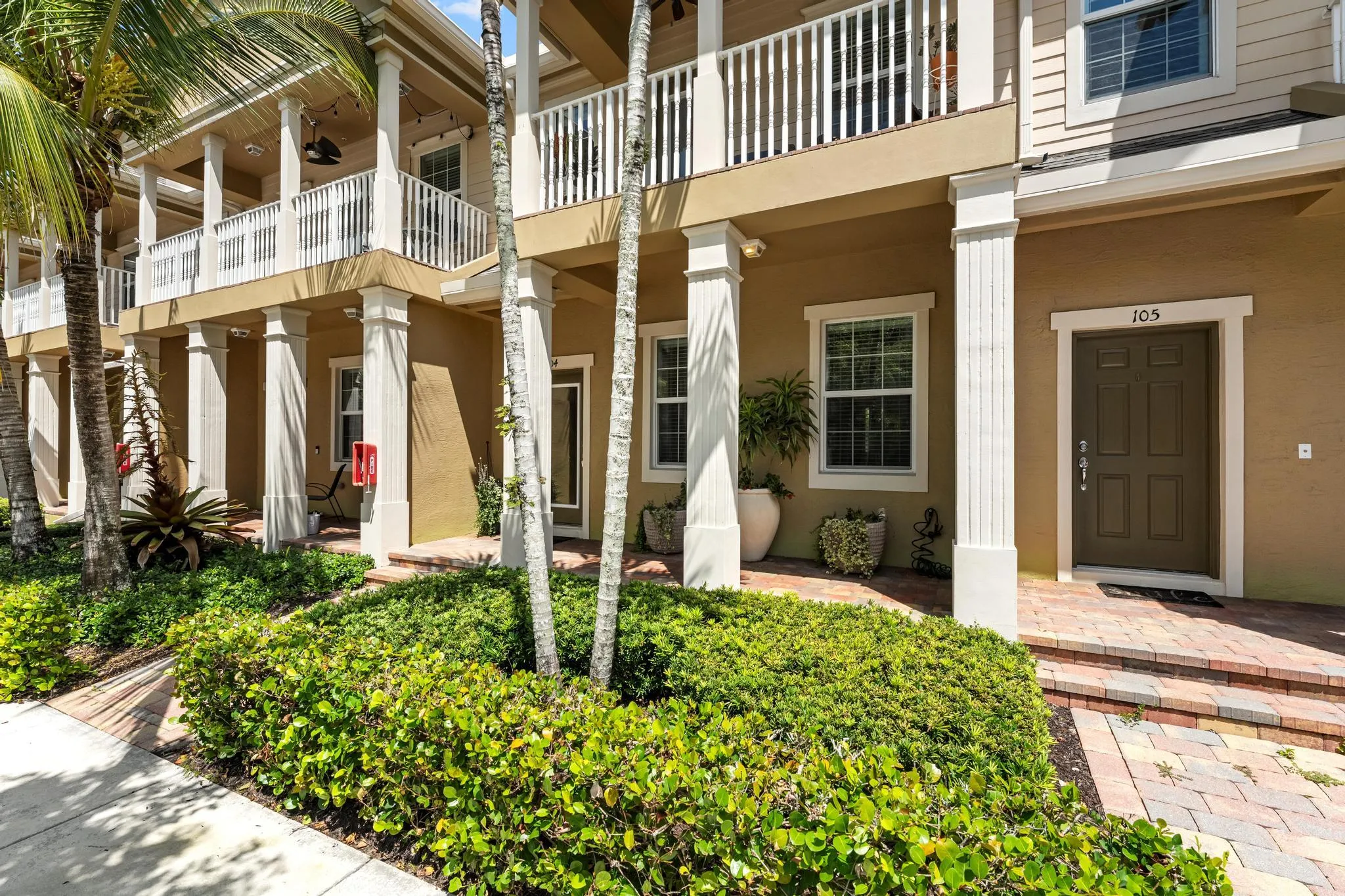 119 Black Ironwood