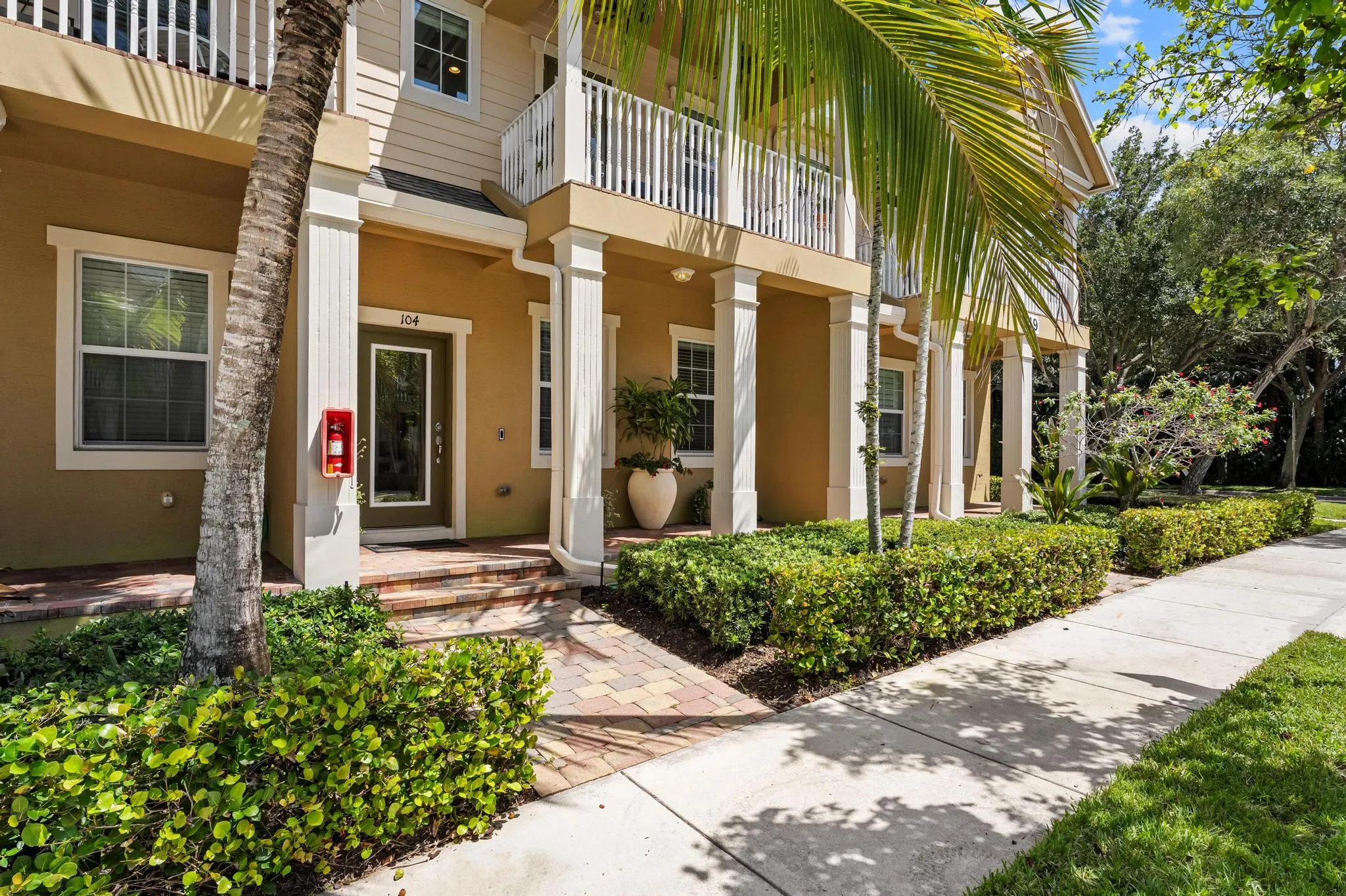 119 Black Ironwood