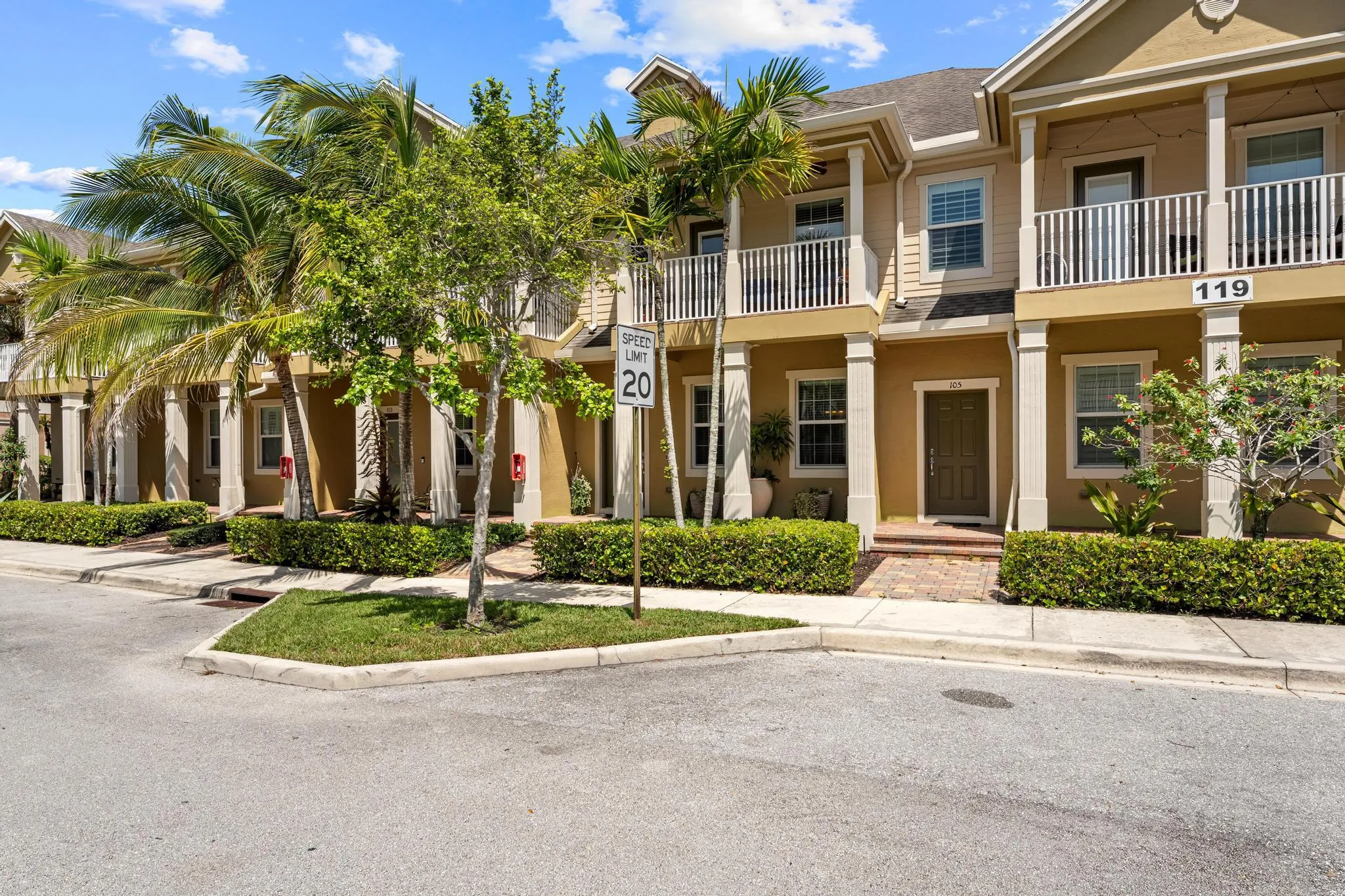 119 Black Ironwood