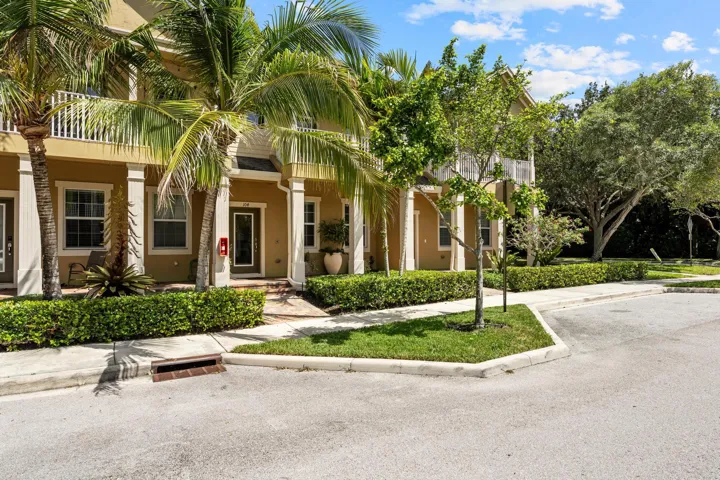 119 Black Ironwood