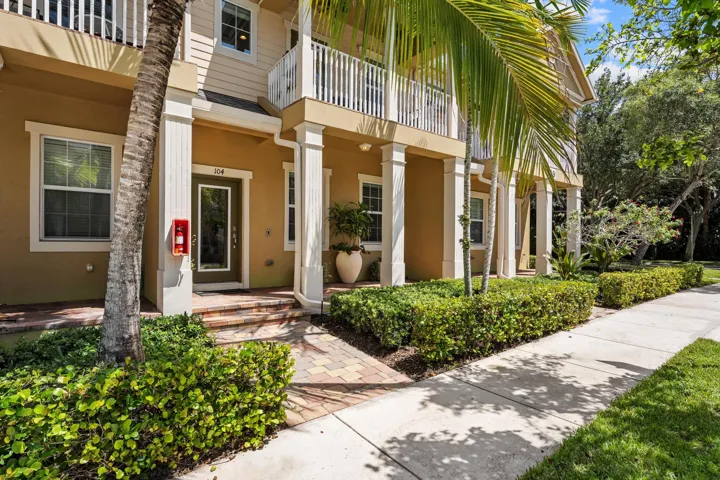 119 Black Ironwood