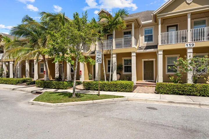 119 Black Ironwood
