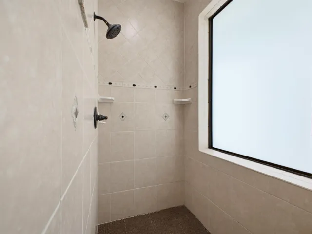 Primary Bathroom Shower