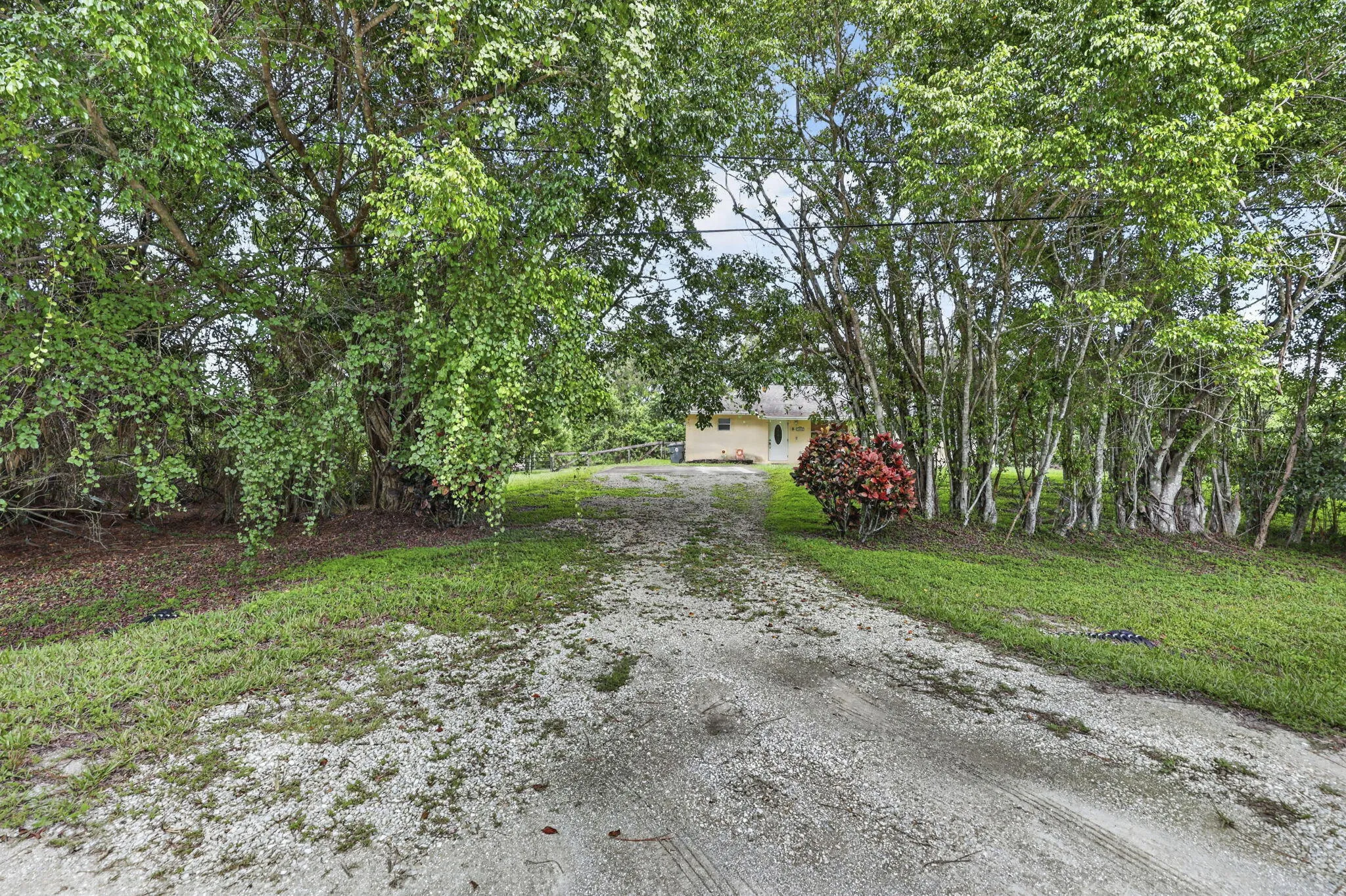 Driveway