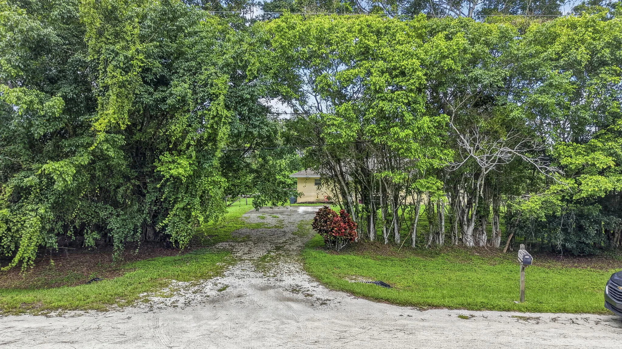 Driveway