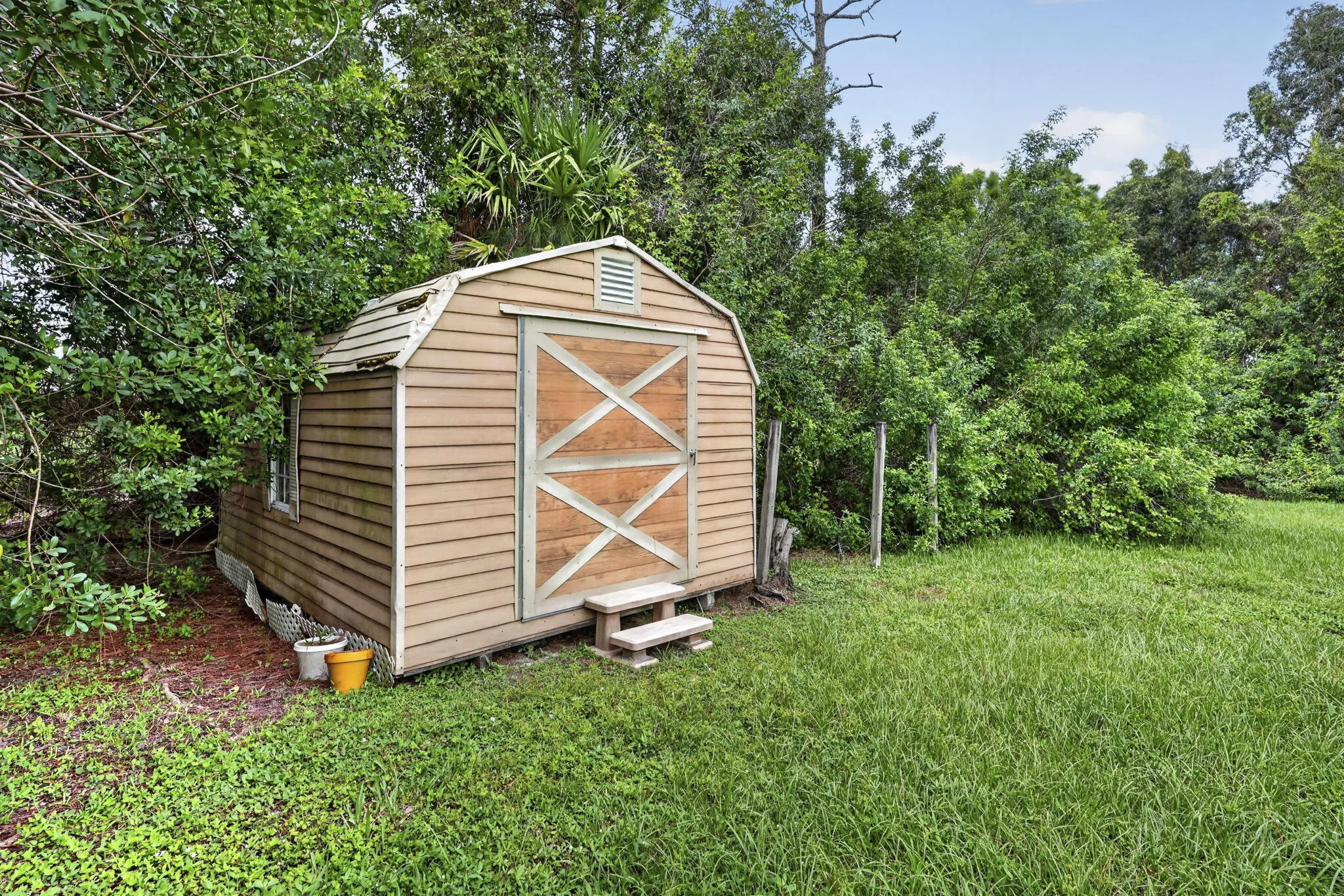 Backyard Shed