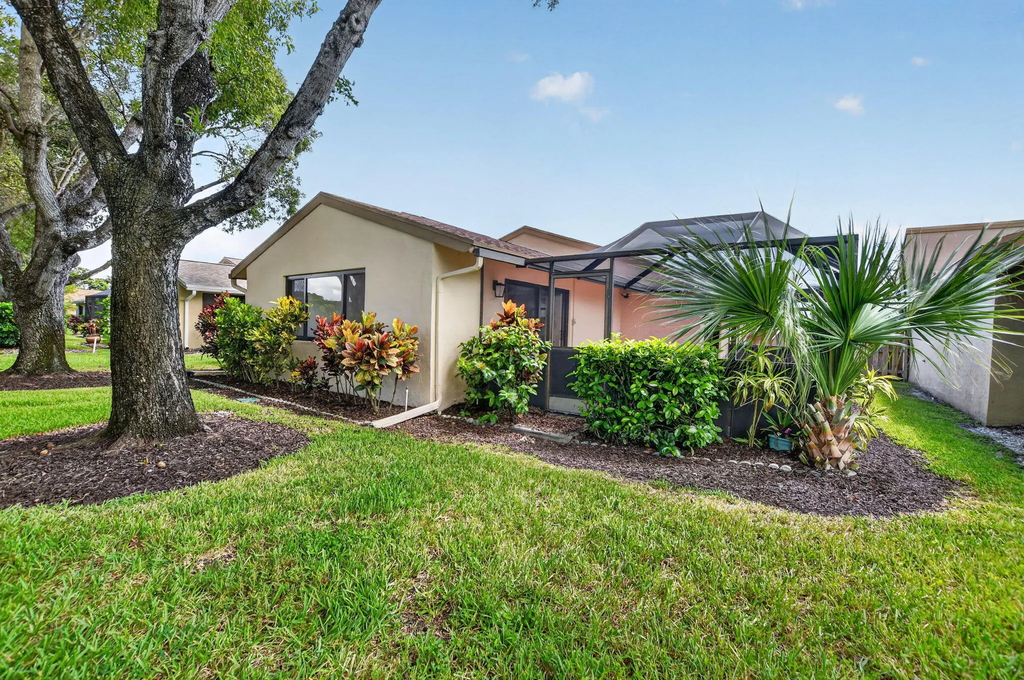 Well landscaped backyard.