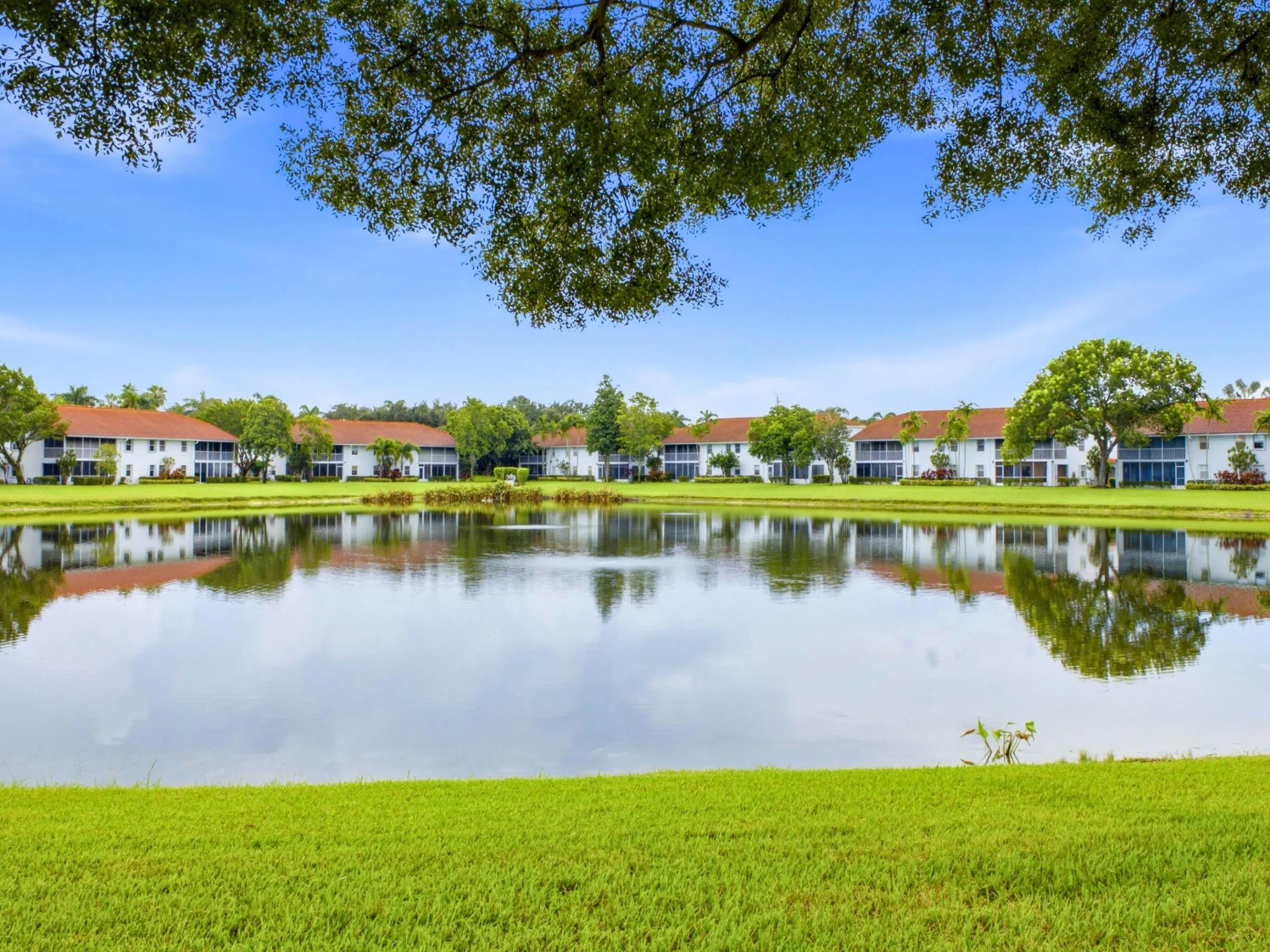 Waterfront View