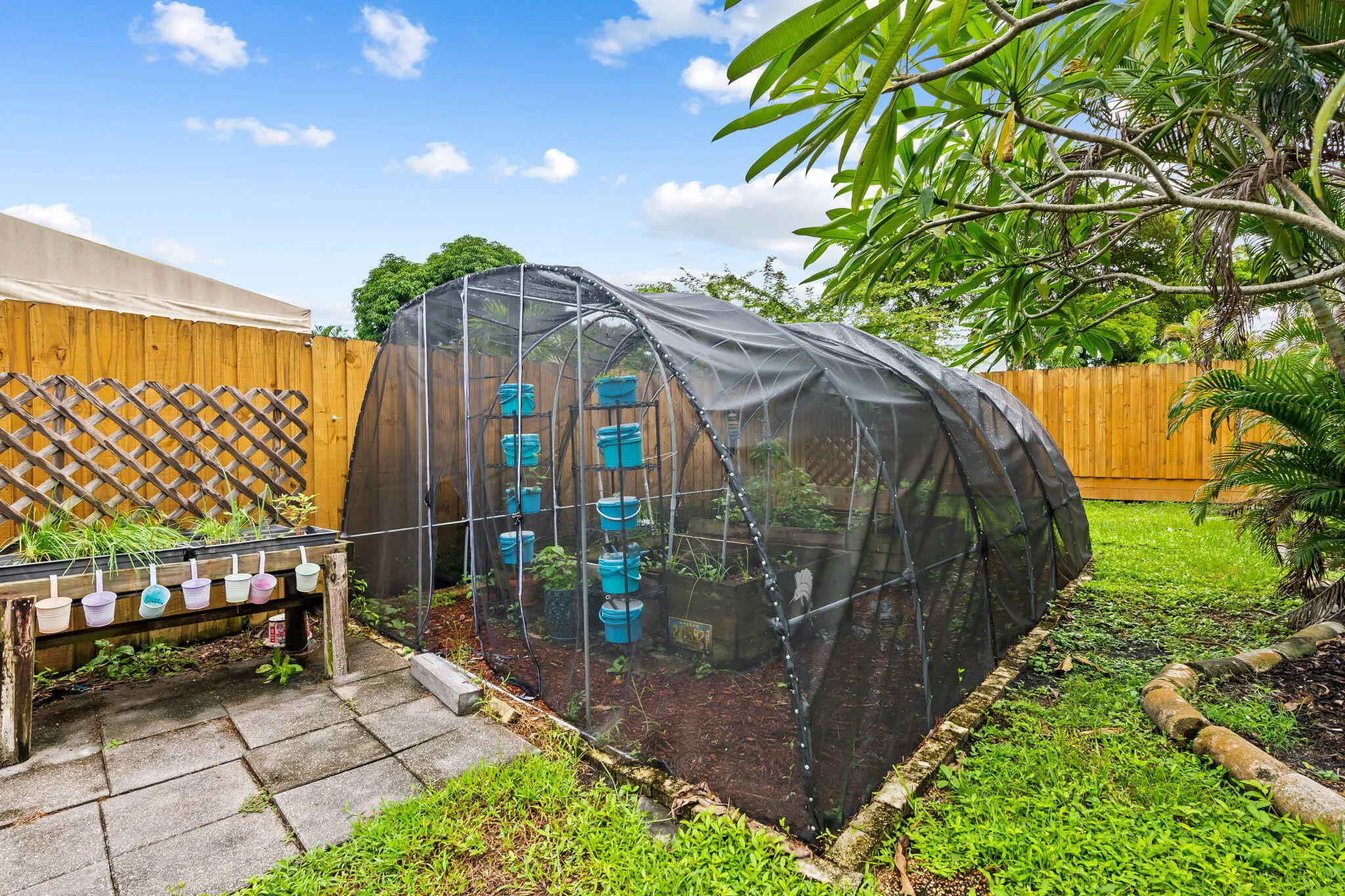 8-web-or-mls-DSC_6630