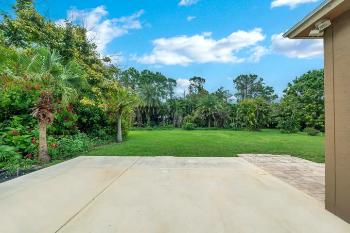 14 Backyard (2)