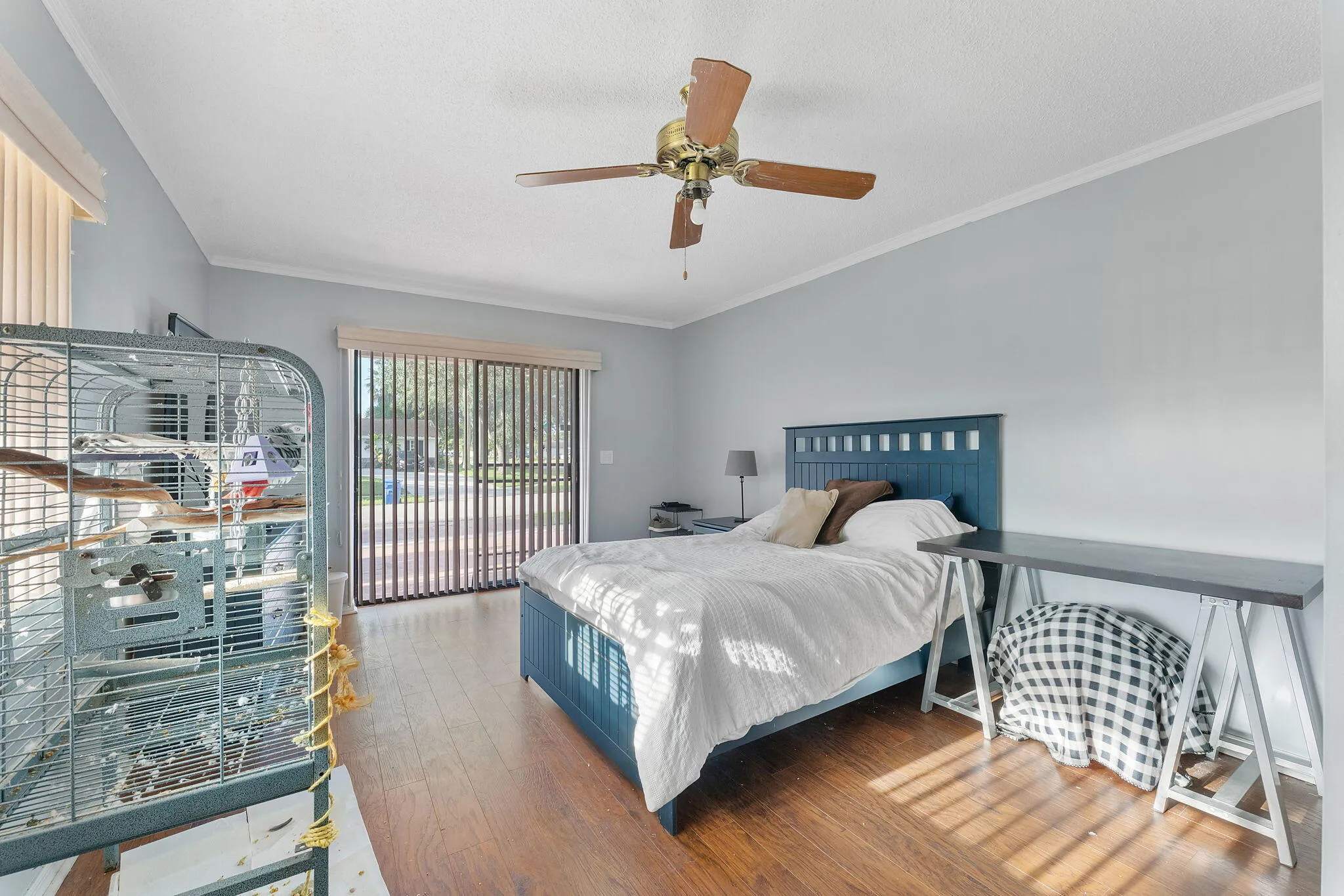 21-web-or-mls-DSC04857
