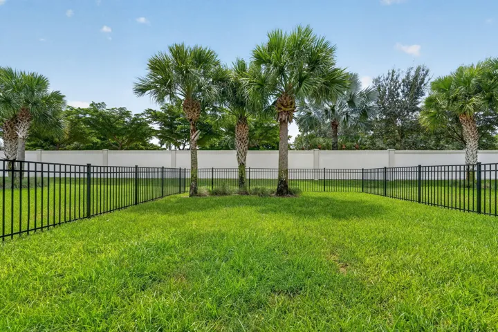 Expansive green lawn with mature palm trees, enclosed by a black metal fence and a tall perimeter wall