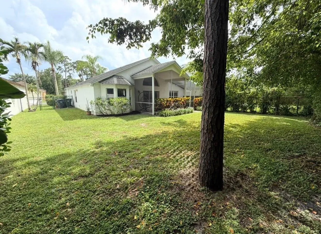 Backyard