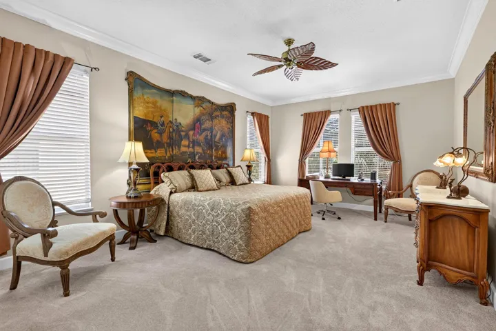 Carpeted room with crown molding, ceiling fan, and multiple windows with blinds