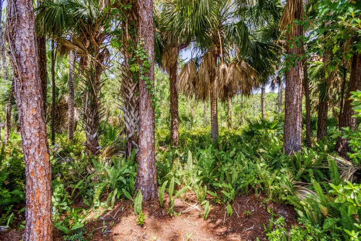 _IMG6124_HDR