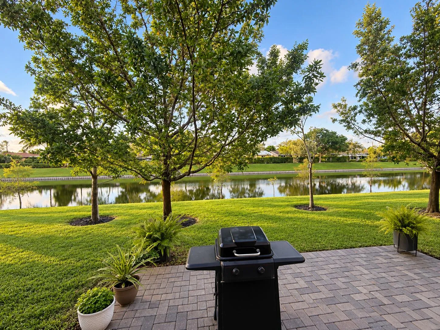 IMG_6284