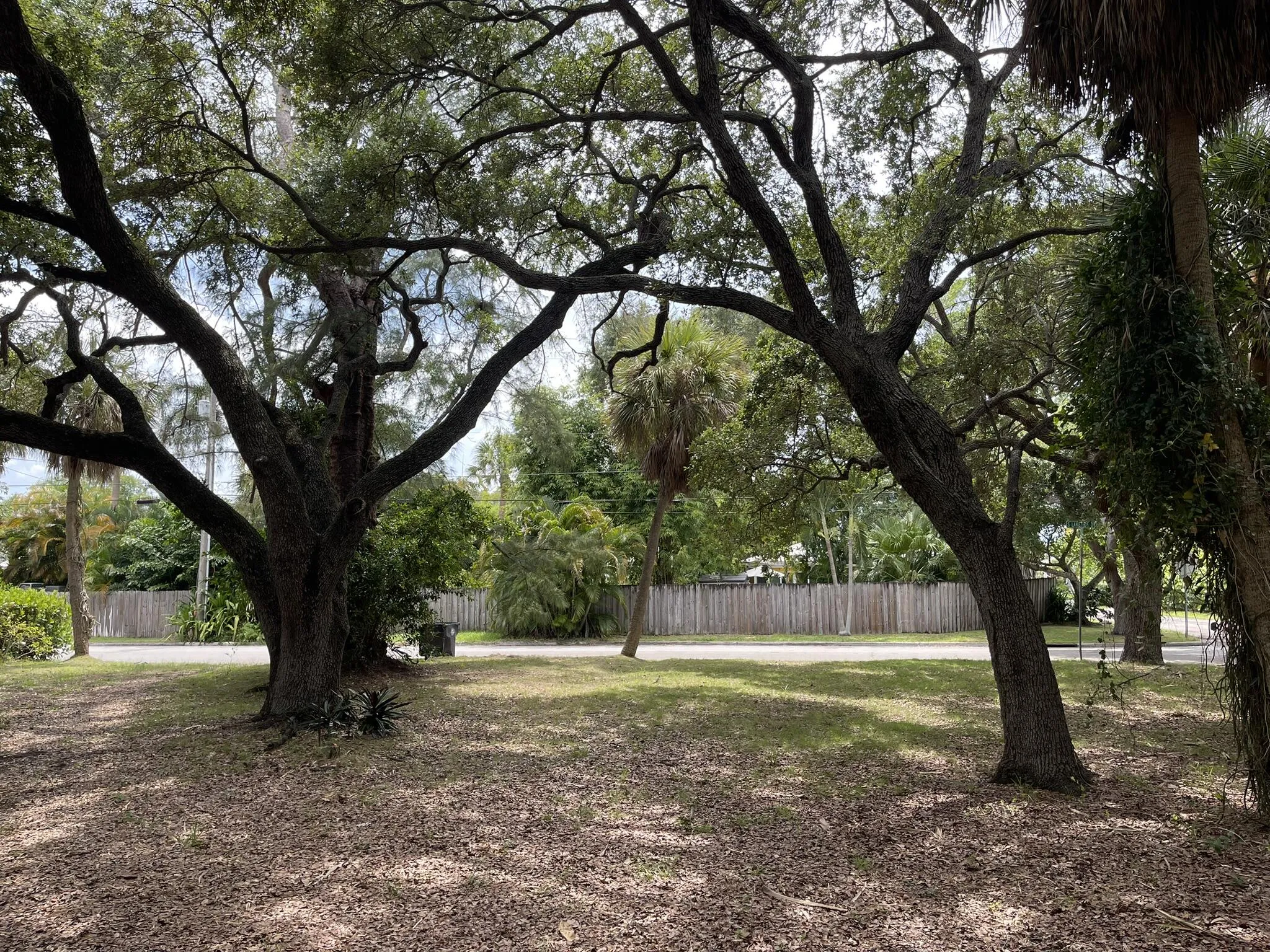 3-front yard to street