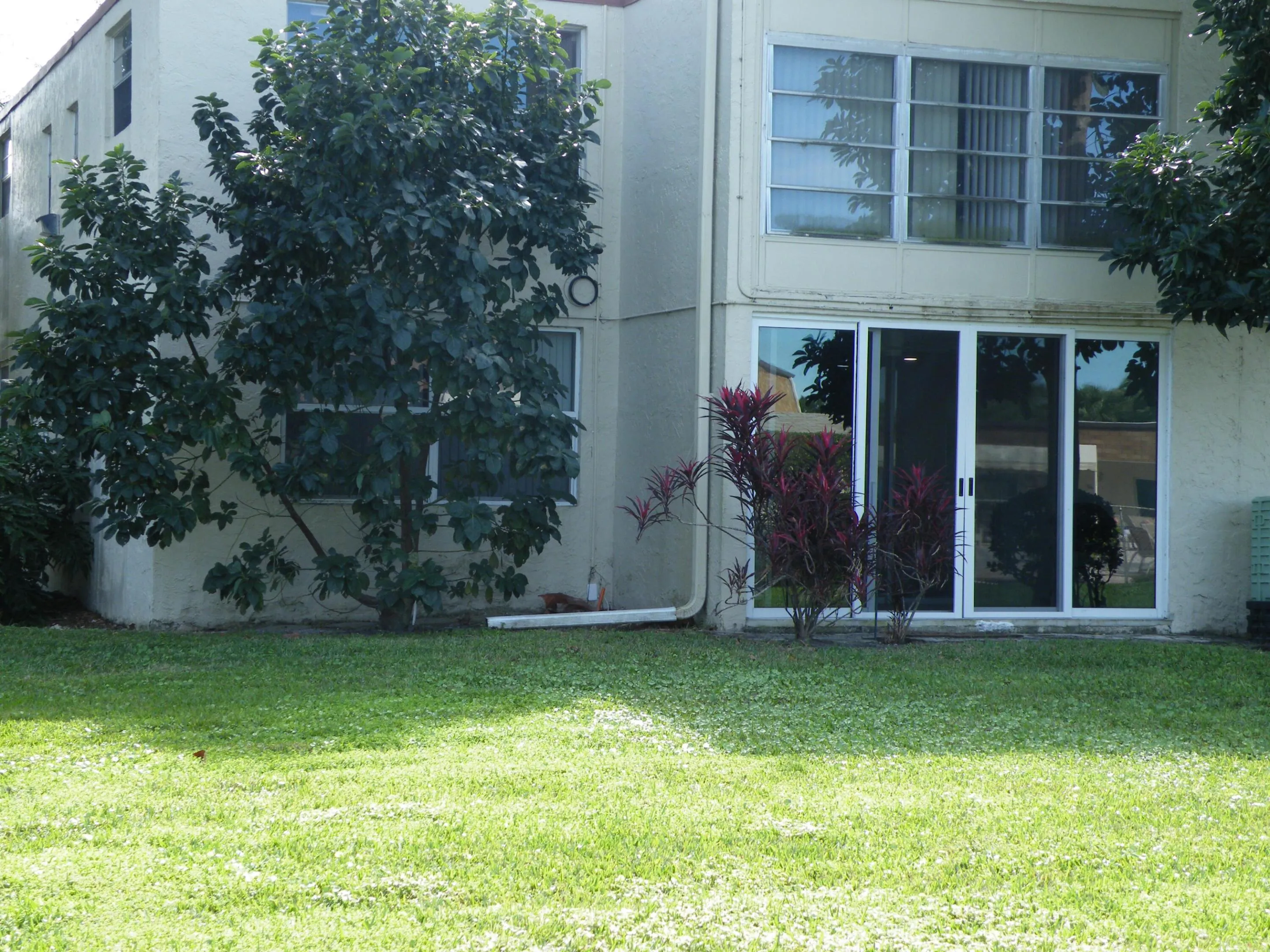 Expansive green lawn with mature trees and landscaping