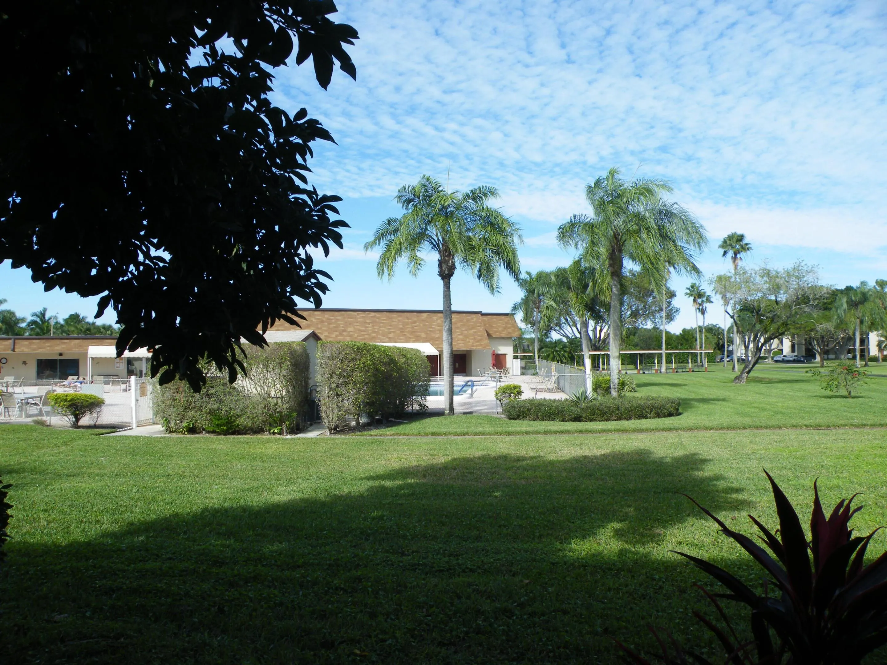 Expansive green space featuring palm trees, manicured lawns, and surrounding landscaping