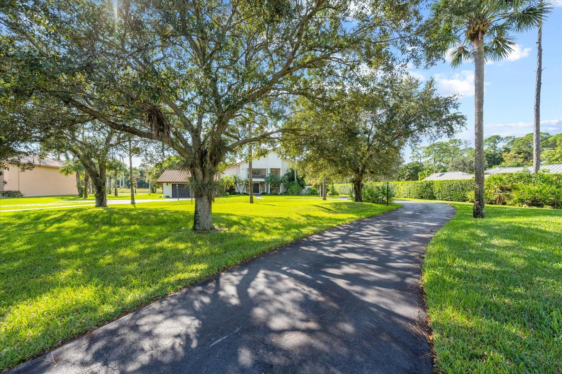 Driveway